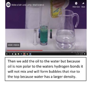 tsa_HomeLearningScience (41)